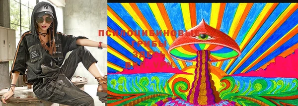 МДПВ Бугульма