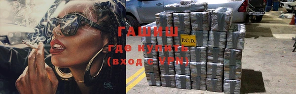 эйфоретик Бородино
