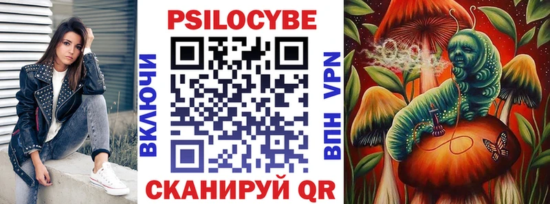 KRAKEN сайт  Суворов  Псилоцибиновые грибы Psilocybine cubensis 